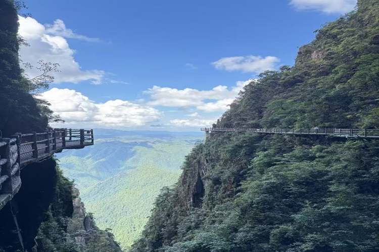 郴州租車/包車|一篇看懂：怎么選、不被坑！